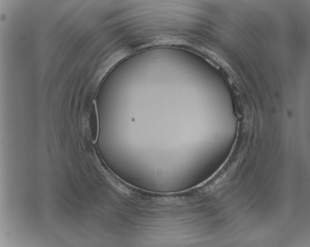 X0000073491281200608211641