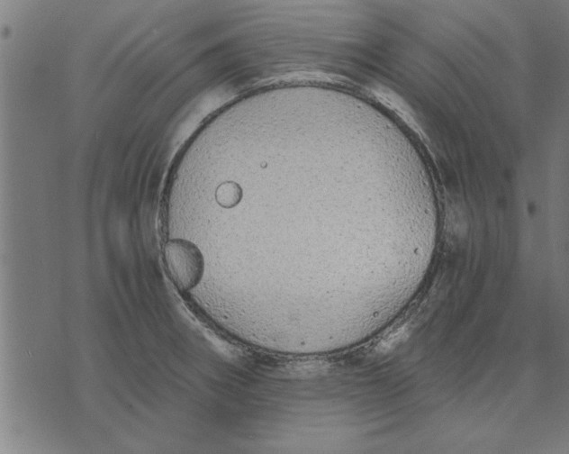 X0000073491282200608211640