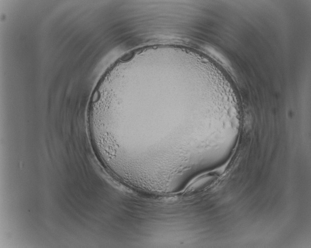 X0000073491283200608211640