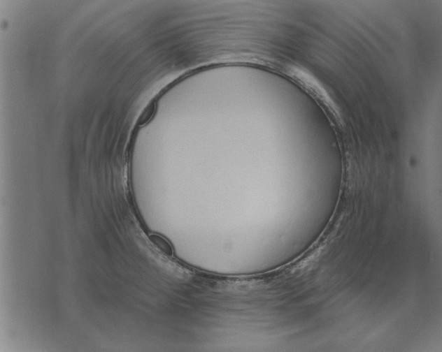 X0000073491284200608211640