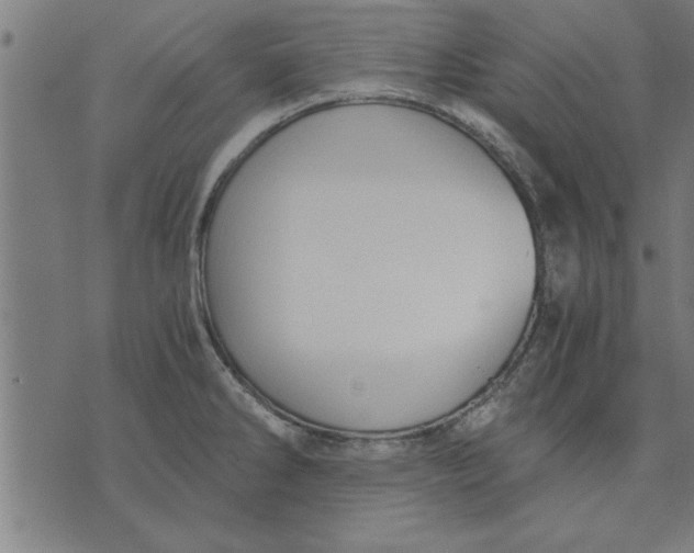 X0000073491286200608211640