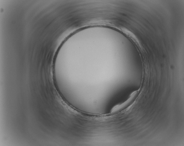 X0000073491288200608211640