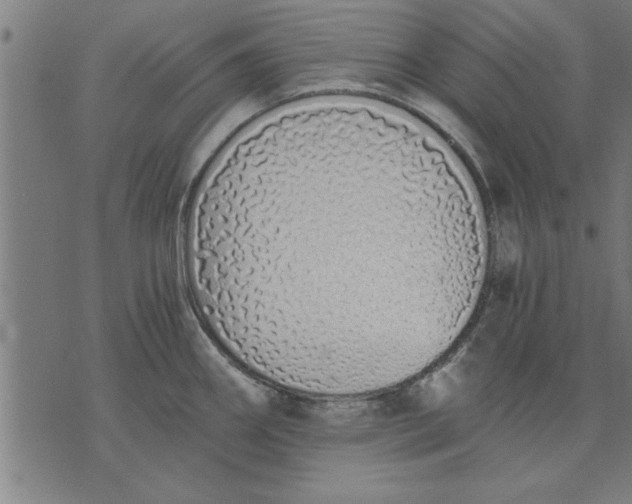 X0000073491290200608211640