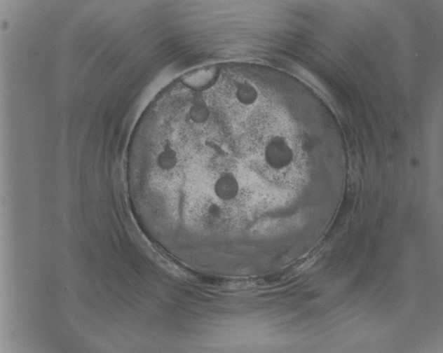 X0000073491291200608211640