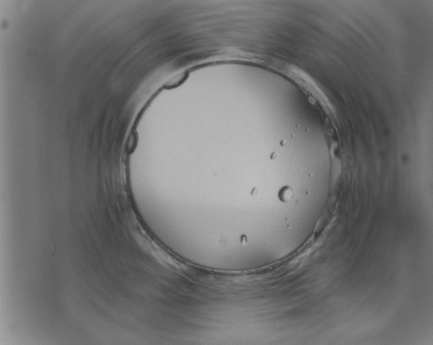 X0000073491292200608211640