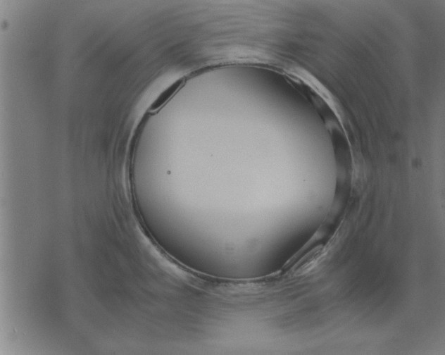 X0000073491293200608211640