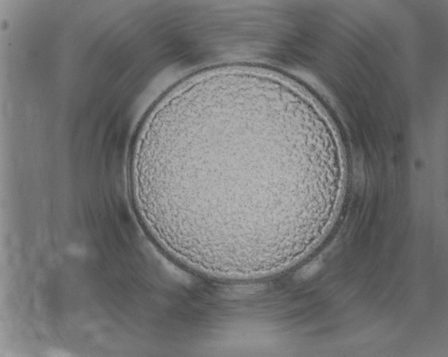 X0000073491294200608211640