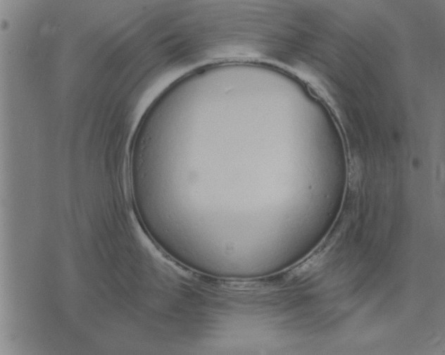 X0000073491295200608211640