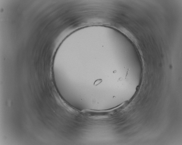 X0000073491296200608211640