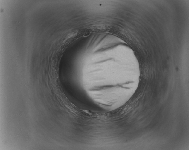 X0000073491297200608211639