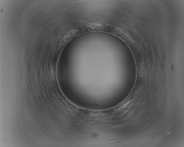 X0000073491298200608211640