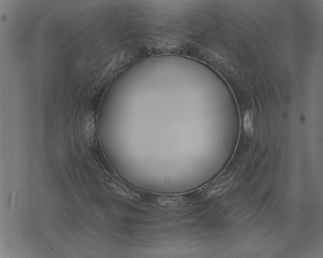 X0000073491299200608211640