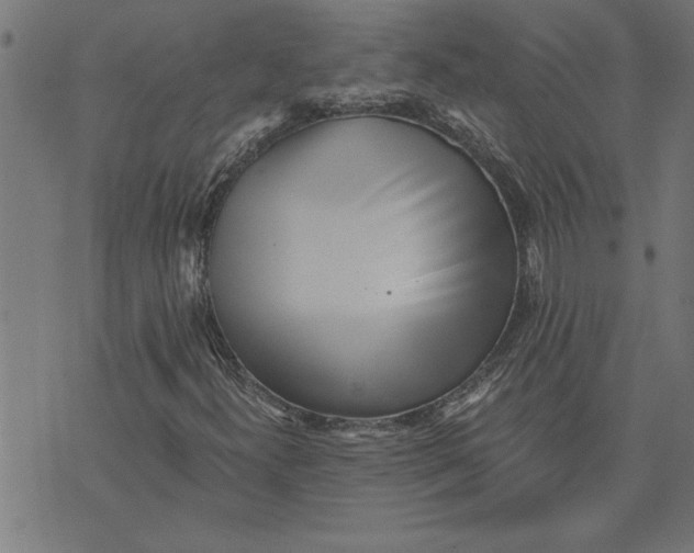 X0000073491300200608211640