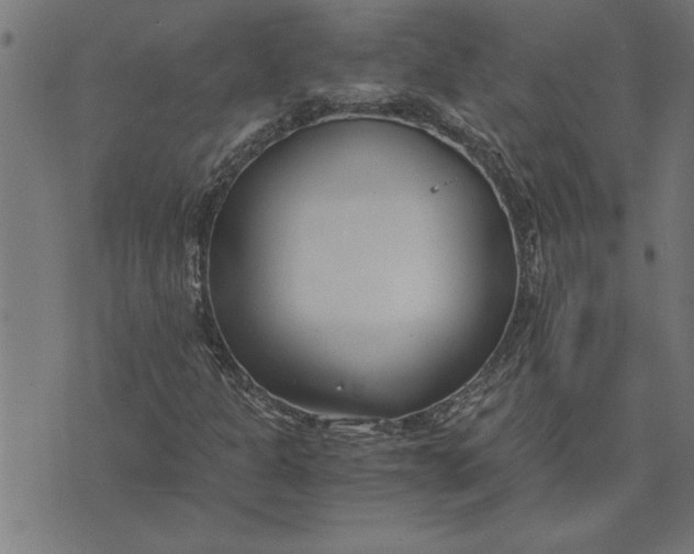 X0000073491301200608211640