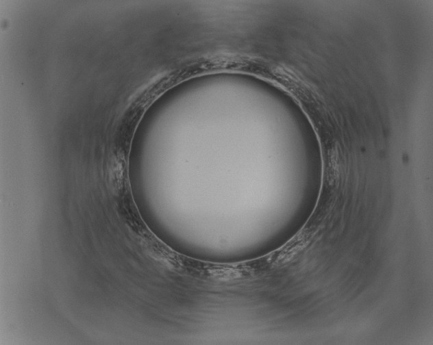 X0000073491302200608211640