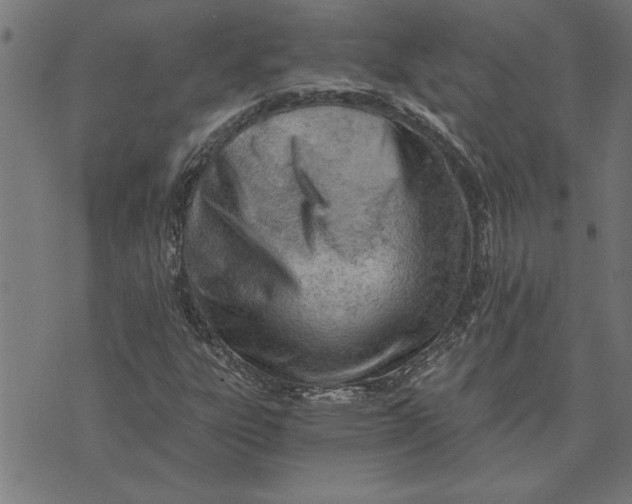 X0000073491303200608211640