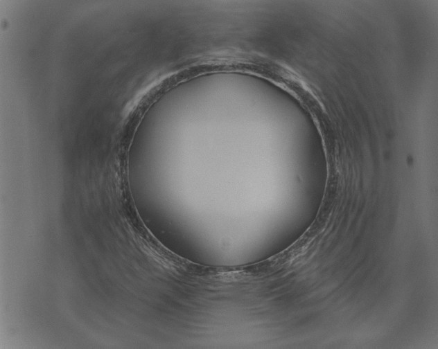 X0000073491304200608211640