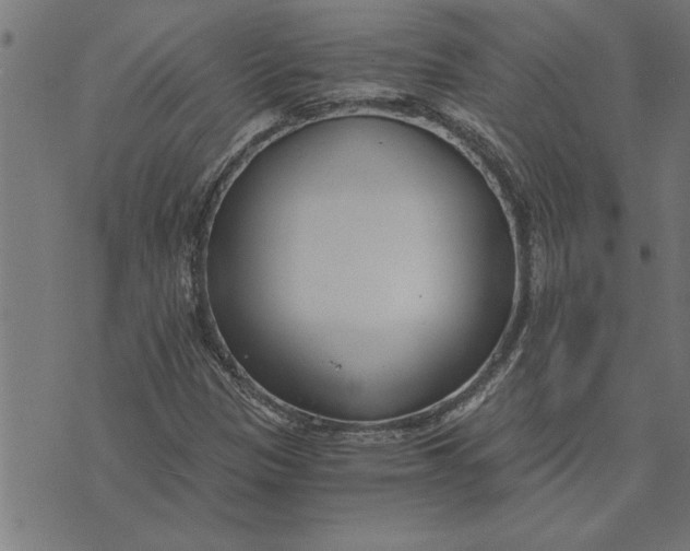 X0000073491305200608211640