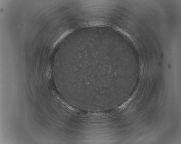 X0000073491306200608211640