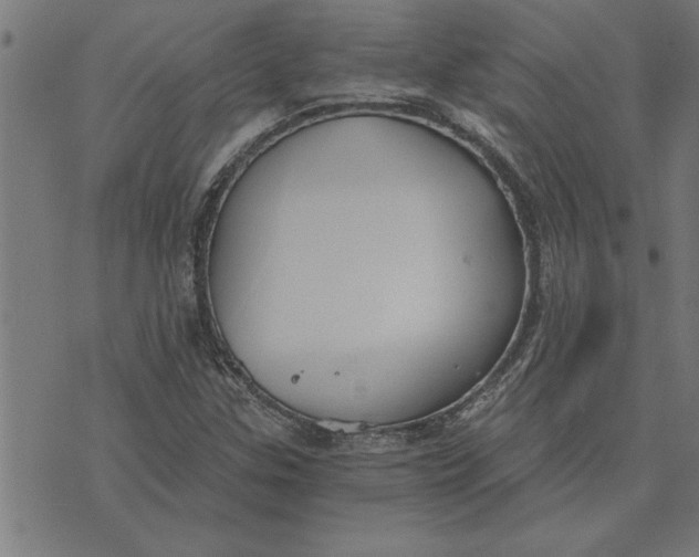 X0000073491307200608211640