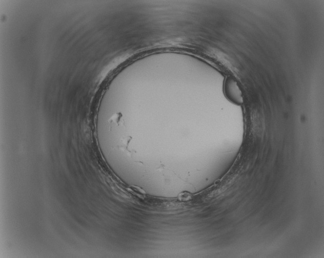 X0000073491308200608211640