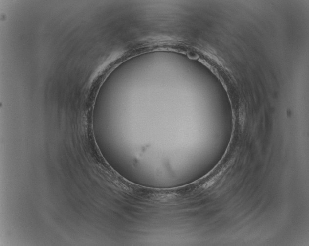 X0000073491309200608211640