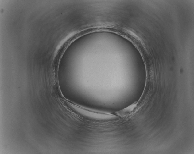 X0000073491310200608211640