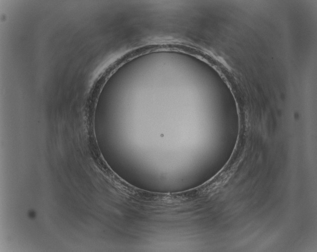 X0000073491311200608211640