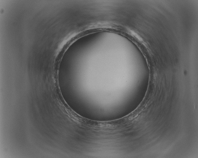 X0000073491312200608211640