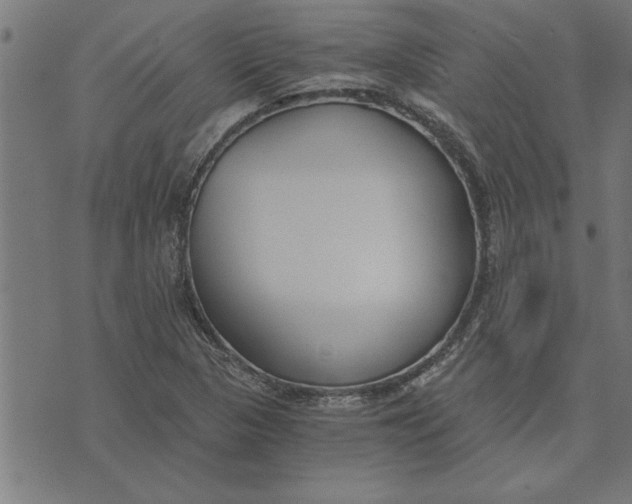 X0000073491313200608211640