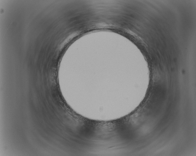 X0000073491314200608211640