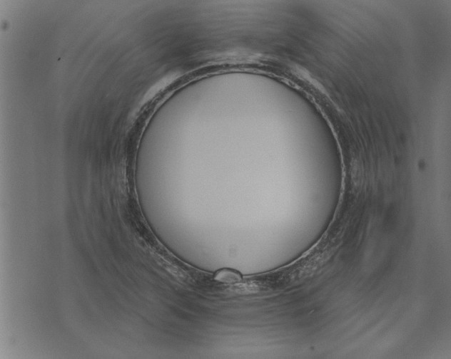 X0000073491315200608211640