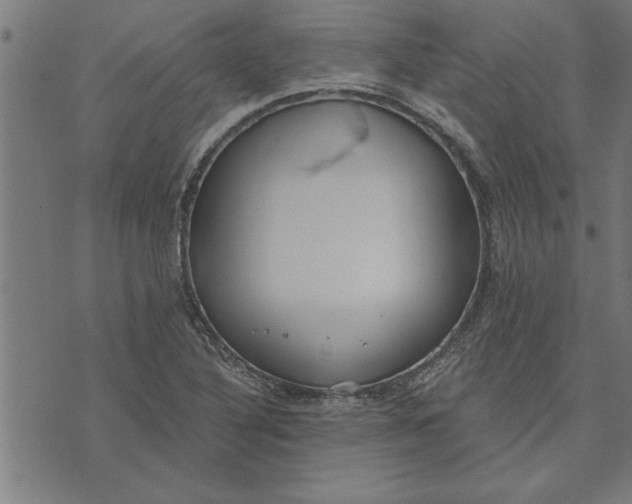 X0000073491316200608211640