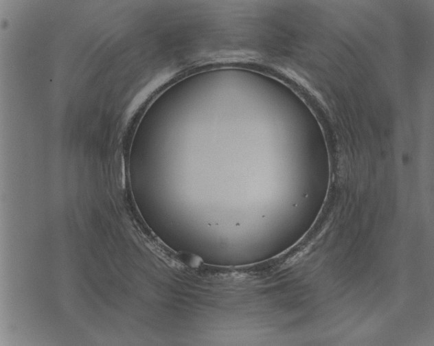 X0000073491317200608211640