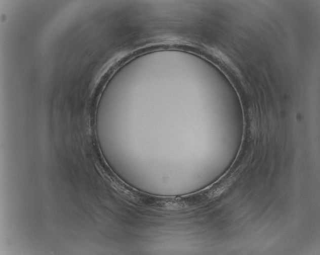 X0000073491318200608211640