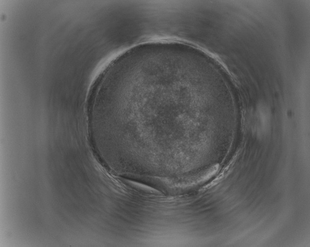 X0000073491319200608211640