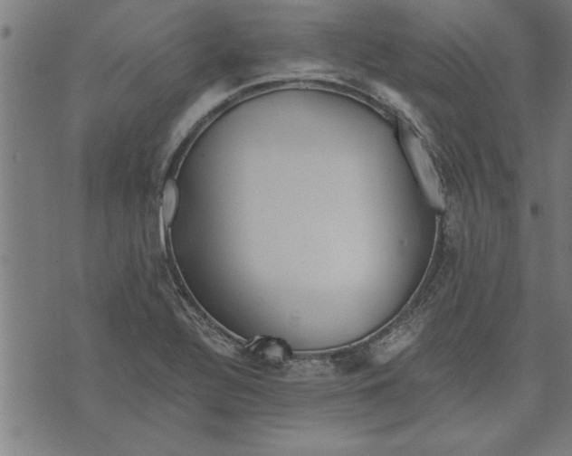 X0000073491320200608211640