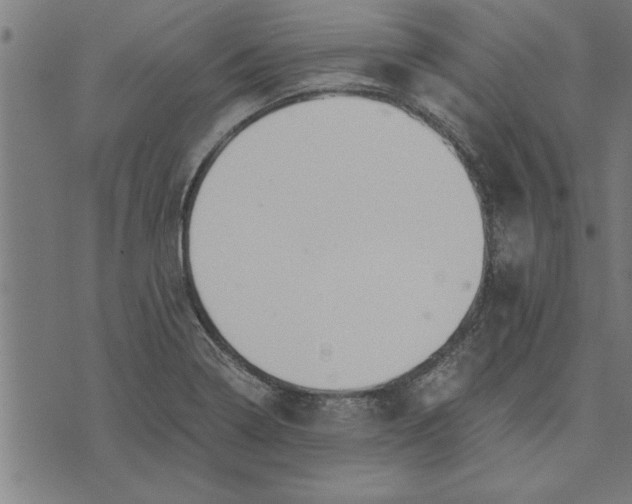 X0000073491322200608211640