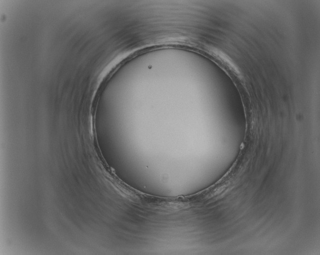 X0000073491324200608211640