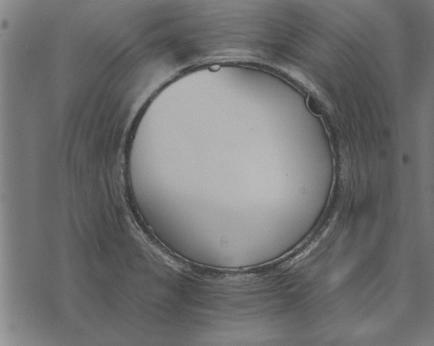 X0000073491325200608211640