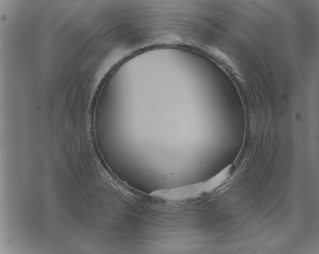 X0000073491326200608211640