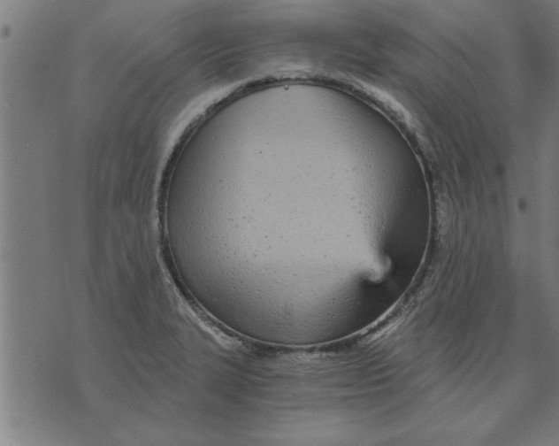 X0000073491327200608211640