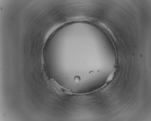 X0000073491328200608211640