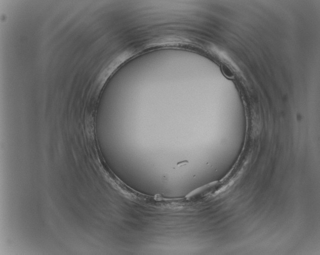 X0000073491329200608211640