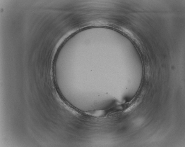 X0000073491331200608211640