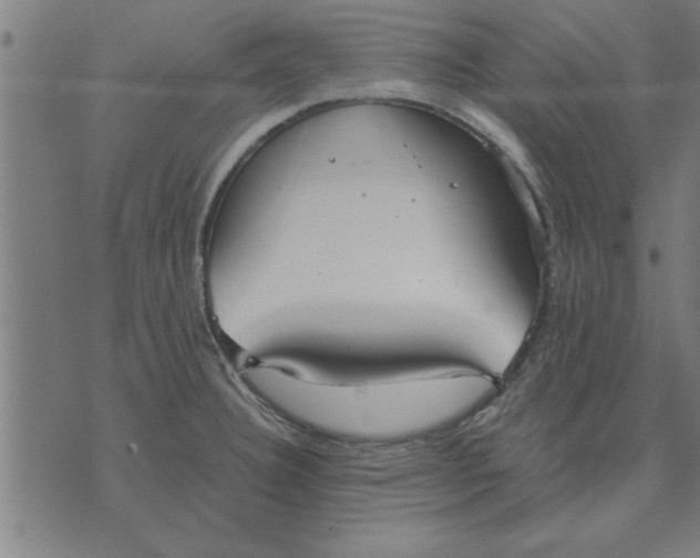 X0000073491332200608211640