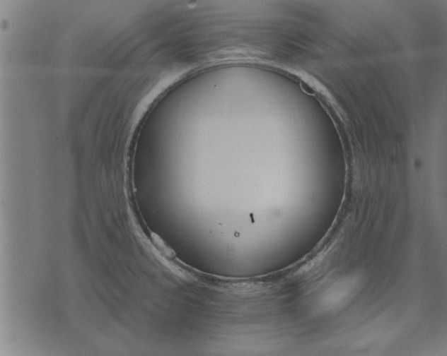 X0000073491333200608211640