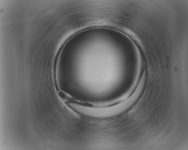 X0000073491334200608211640