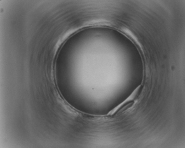 X0000073491336200608211640