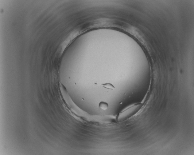 X0000073491337200608211640